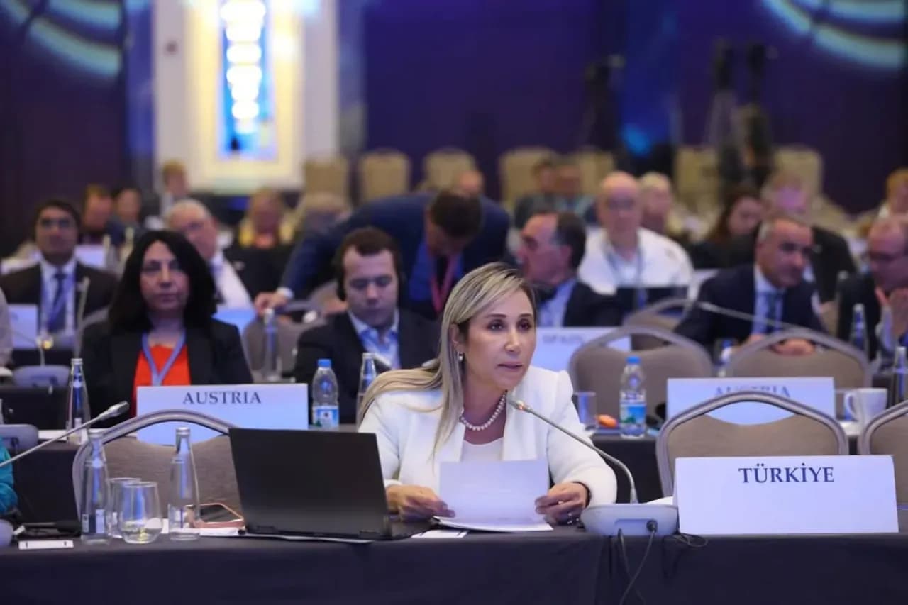 Türkiye, AGİT PA'da Adalet ve İnsanlık Vurgusuyla Temsil Edildi Türkiye, AGİT PA'da Adalet ve İnsanlık Vurgusuyla Temsil Edildi