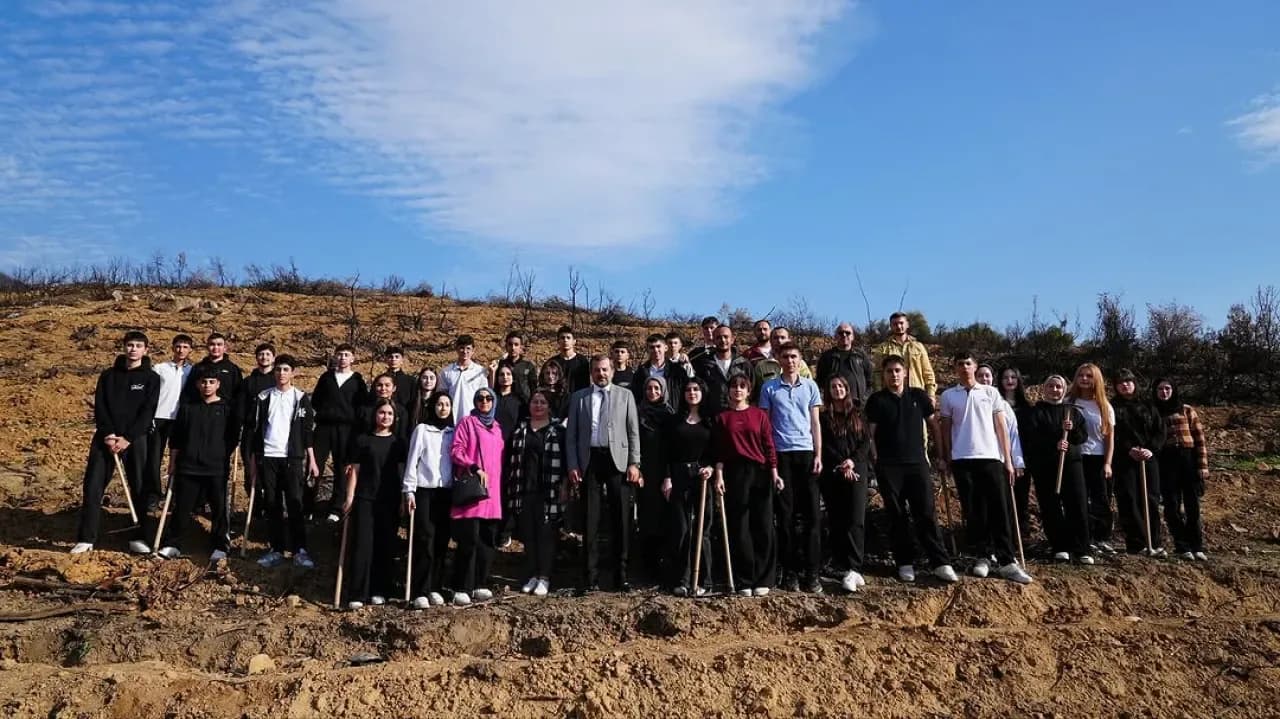 Bursa Gürsu'da Yanan Ormanlık Alan Ağaçlandırılıyor