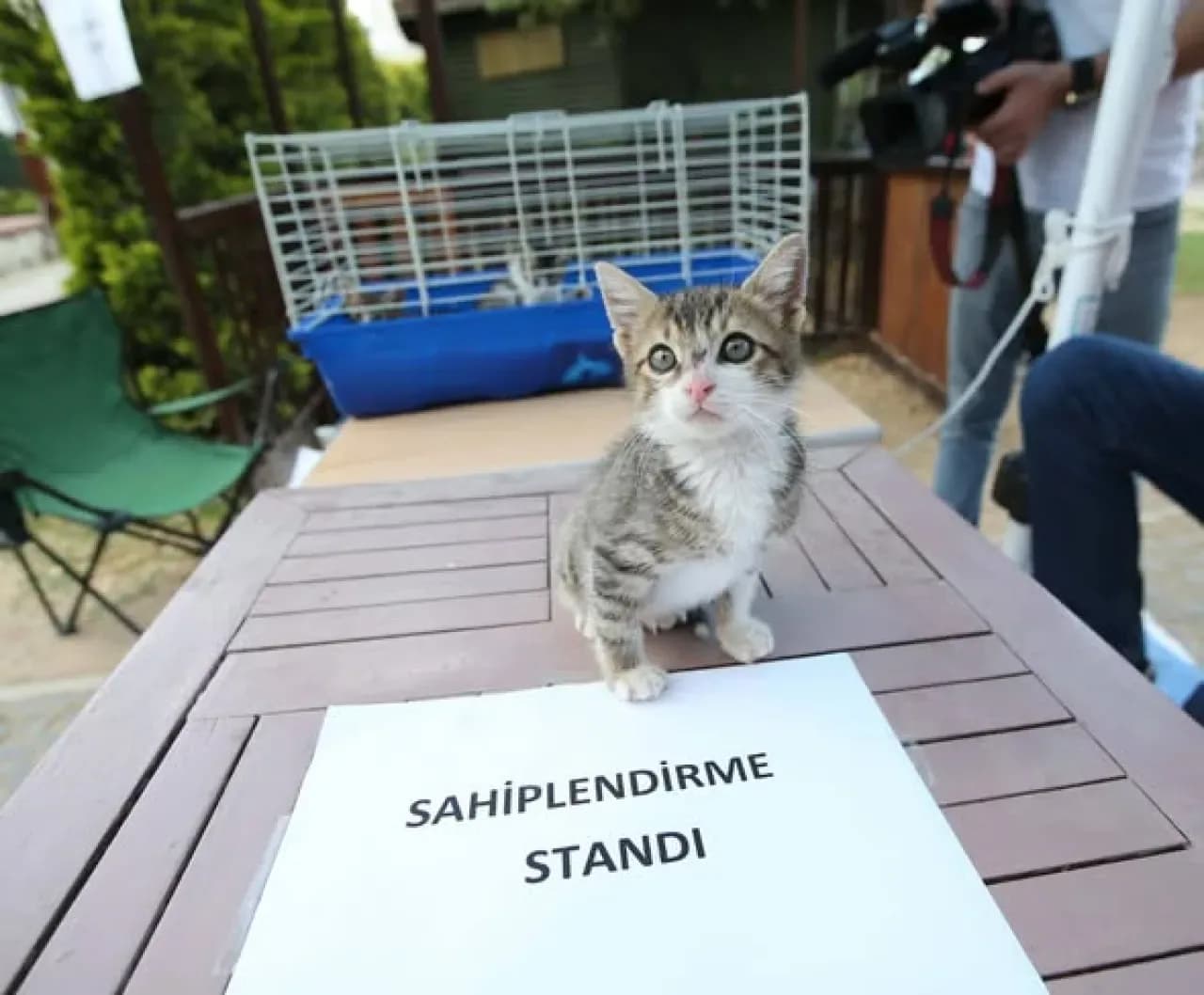 Karşıyaka Belediyesi, Sokak Hayvanları İçin Yılda 40 Bin Hizmet Verdi