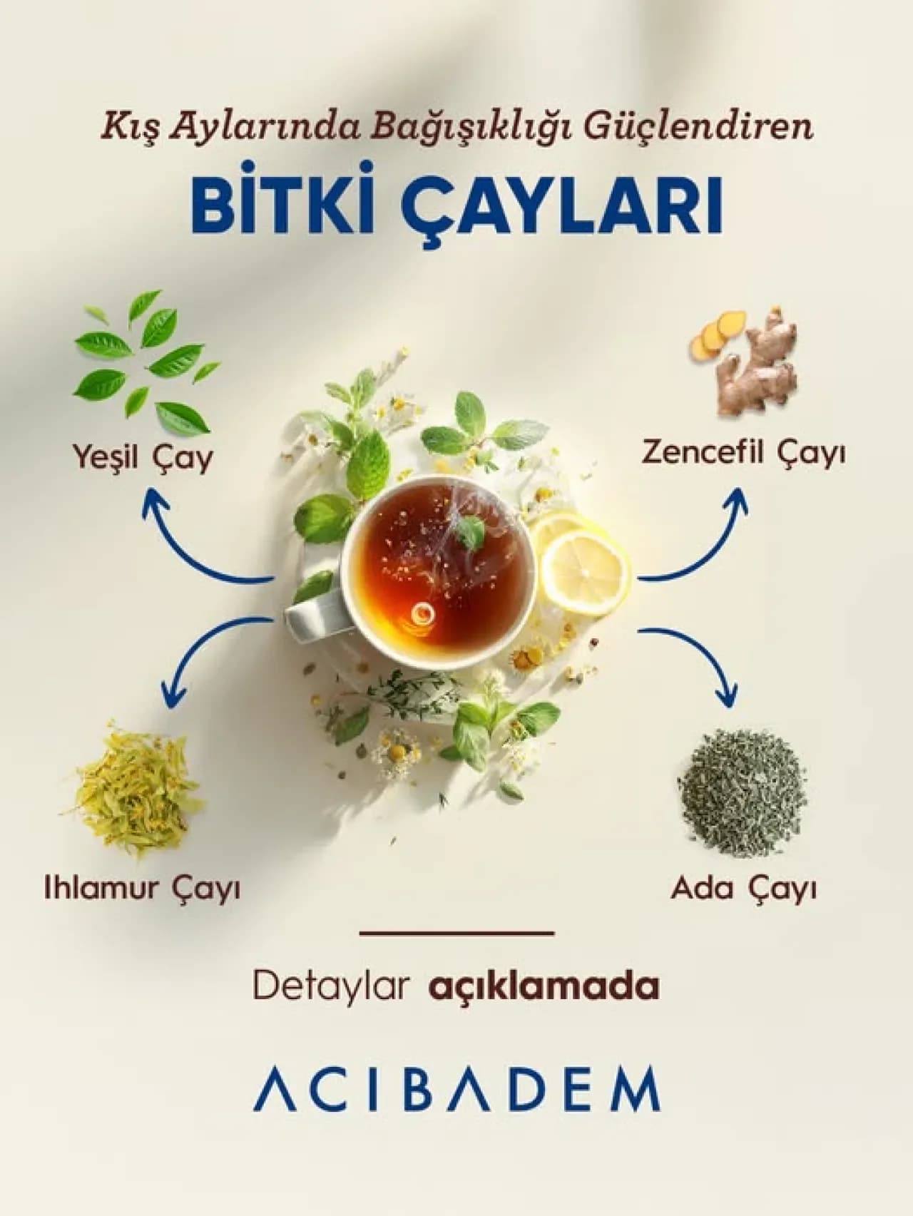 Kış Hastalıklarına Karşı 5 Etkili Bitki Çayı İle Bağışıklığınızı Güçlendirin