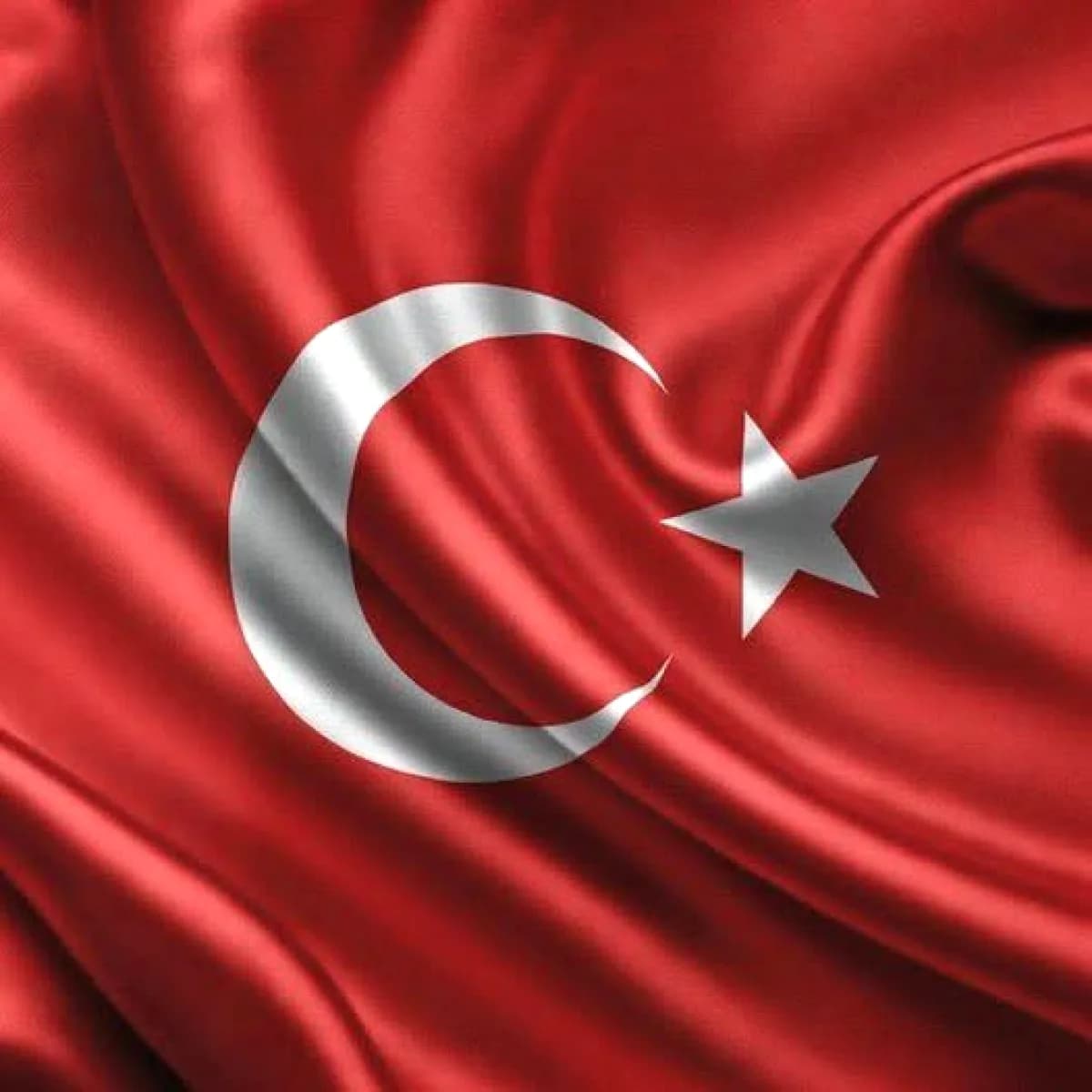 Milletvekili Mesten'in Şiirle İlgili Sürpriz Açıklaması