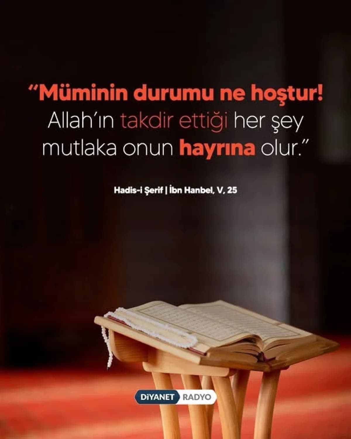 Orhangazi Müftülüğü'nden Paylaşılan Hadis İlgi Gördü Orhangazi Müftülüğü'nden Paylaşılan Hadis İlgi Gördü