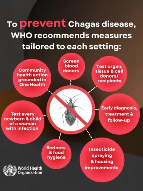 Chagas Hastalığı: DSÖ'nün 21 Ülkede Endemik Olarak İşaret Ettiği Gizli Tehlike Chagas Hastalığı: DSÖ'nün 21 Ülkede Endemik Olarak İşaret Ettiği Gizli Tehlike