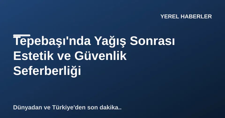 Tepebaşı'nda Yağış Sonrası Estetik ve Güvenlik Seferberliği görseli