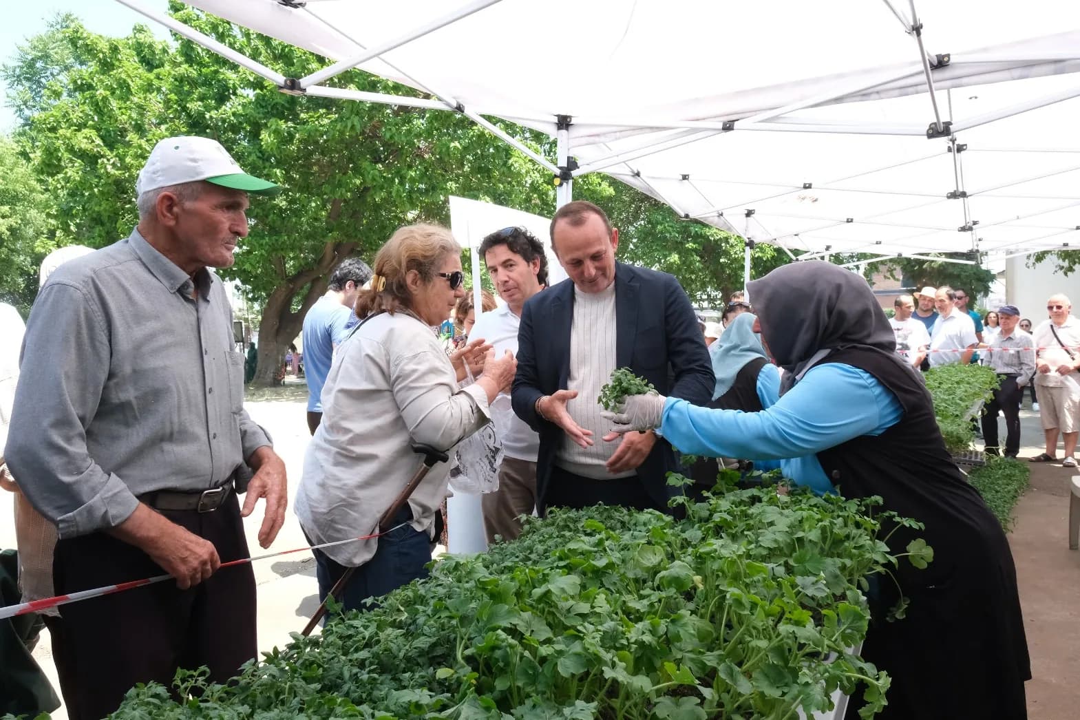 Çiftlikköy'de Üretim Seferberliği: 40 Bin Yerli Tohum Fidesi Ücretsiz Dağıtıldı Çiftlikköy'de Üretim Seferberliği: 40 Bin Yerli Tohum Fidesi Ücretsiz Dağıtıldı