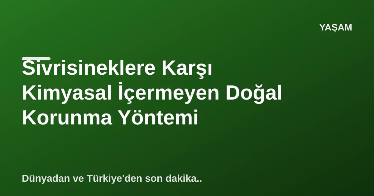 Sivrisineklere Karşı Kimyasal İçermeyen Doğal Korunma Yöntemi