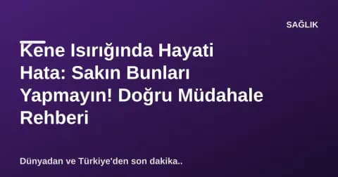 Kene Isırığında Hayati Hata: Sakın Bunları Yapmayın! Doğru Müdahale Rehberi