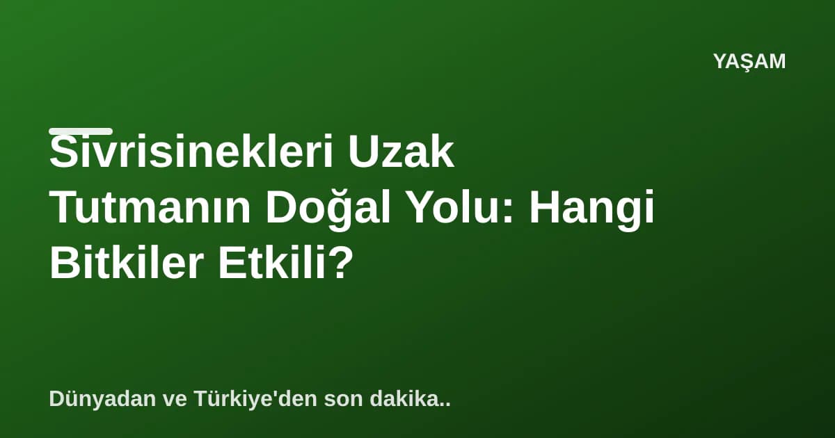 Sivrisinekleri Uzak Tutmanın Doğal Yolu: Hangi Bitkiler Etkili?