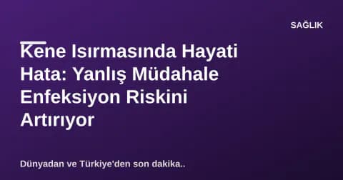Kene Isırmasında Hayati Hata: Yanlış Müdahale Enfeksiyon Riskini Artırıyor