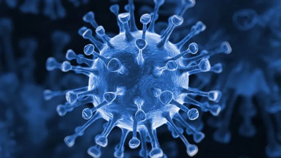 Dünya Sağlık Örgütü'nden Kritik Uyarı: Ebola Virüsü Kontrolden Çıktı görseli
