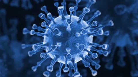 Dünya Sağlık Örgütü'nden Kritik Uyarı: Ebola Virüsü Kontrolden Çıktı