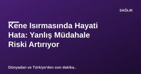 Kene Isırmasında Hayati Hata: Yanlış Müdahale Riski Artırıyor