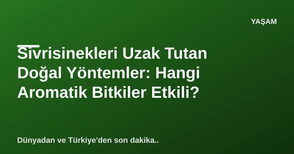 Sivrisinekleri Uzak Tutan Doğal Yöntemler: Hangi Aromatik Bitkiler Etkili?