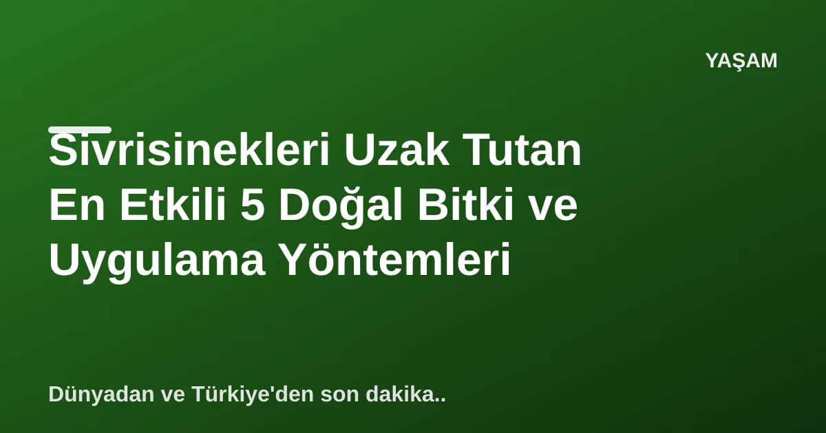 Sivrisinekleri Uzak Tutan En Etkili 5 Doğal Bitki ve Uygulama Yöntemleri