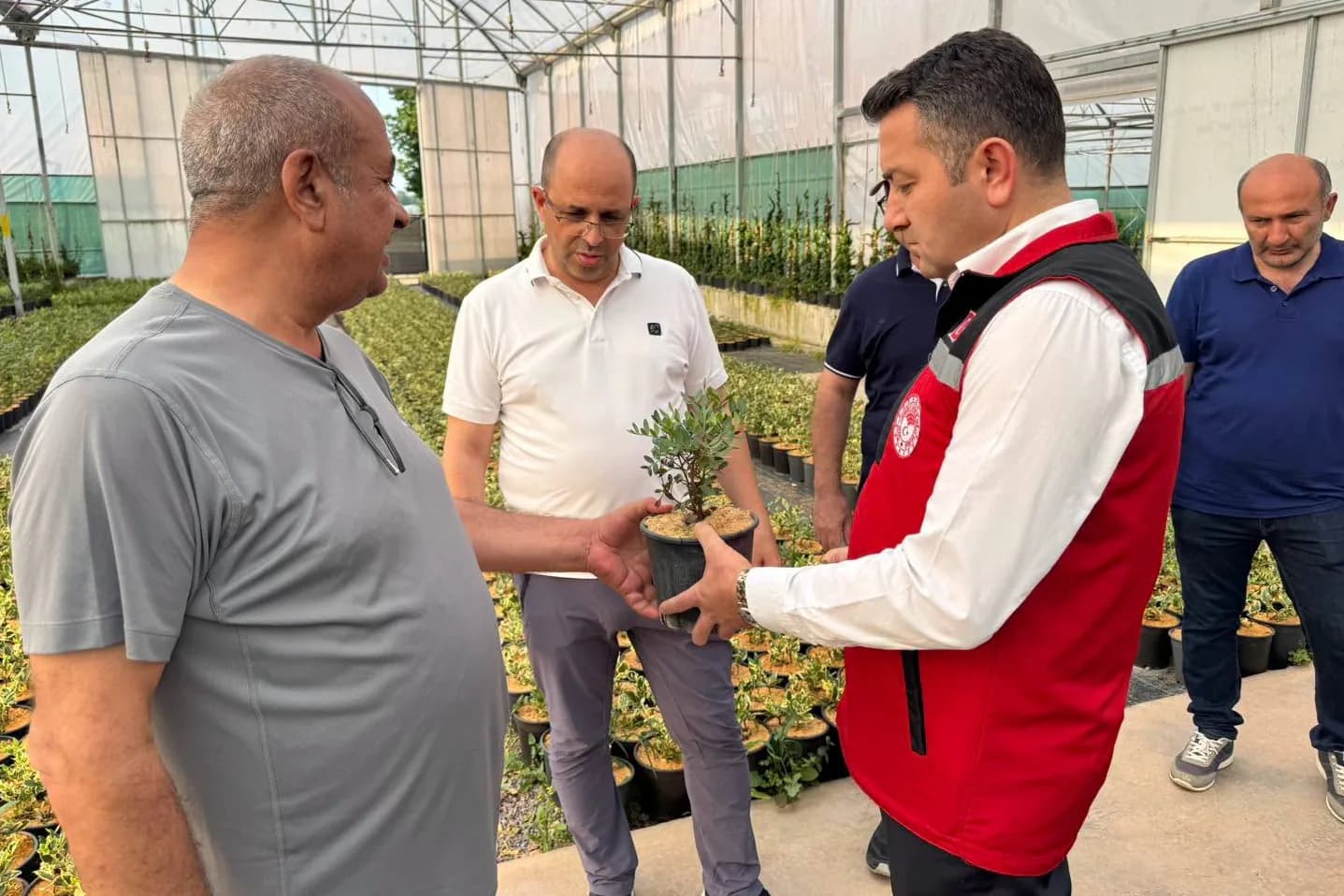Antalya, Süs Bitkilerinde Yalova Modelini İnceliyor: Kümeleşme Hamlesi Antalya, Süs Bitkilerinde Yalova Modelini İnceliyor: Kümeleşme Hamlesi