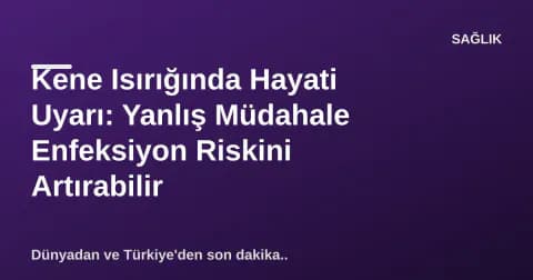 Kene Isırığında Hayati Uyarı: Yanlış Müdahale Enfeksiyon Riskini Artırabilir
