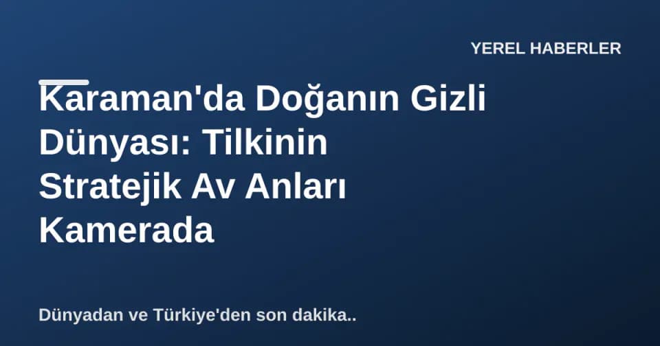 Karaman'da Doğanın Gizli Dünyası: Tilkinin Stratejik Av Anları Kamerada görseli
