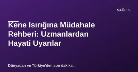 Kene Isırığına Müdahale Rehberi: Uzmanlardan Hayati Uyarılar