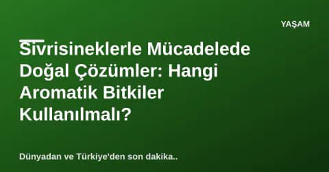 Sivrisineklerle Mücadelede Doğal Çözümler: Hangi Aromatik Bitkiler Kullanılmalı?