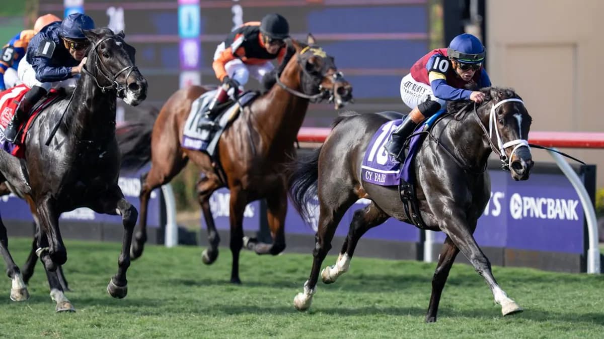 Royal Ascot'ta Büyük Kayıp: ABD'li Yıldız Sprinter Cy Fair Yarıştan Çekildi Royal Ascot'ta Büyük Kayıp: ABD'li Yıldız Sprinter Cy Fair Yarıştan Çekildi