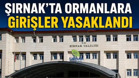Şırnak'ta ormanlara giriş yasaklandı: Sadece giriş değil, şunlar da yasak!