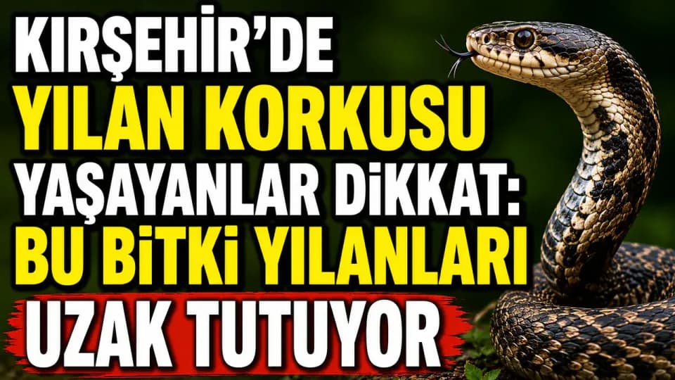 Yılan ve Fareleri Uzak Tutan Doğal Yöntem: Mor Çiçekli Bu Bitkiyi Deneyin görseli