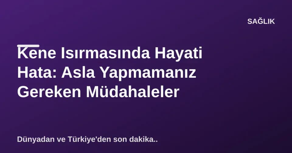 Kene Isırmasında Hayati Hata: Asla Yapmamanız Gereken Müdahaleler görseli