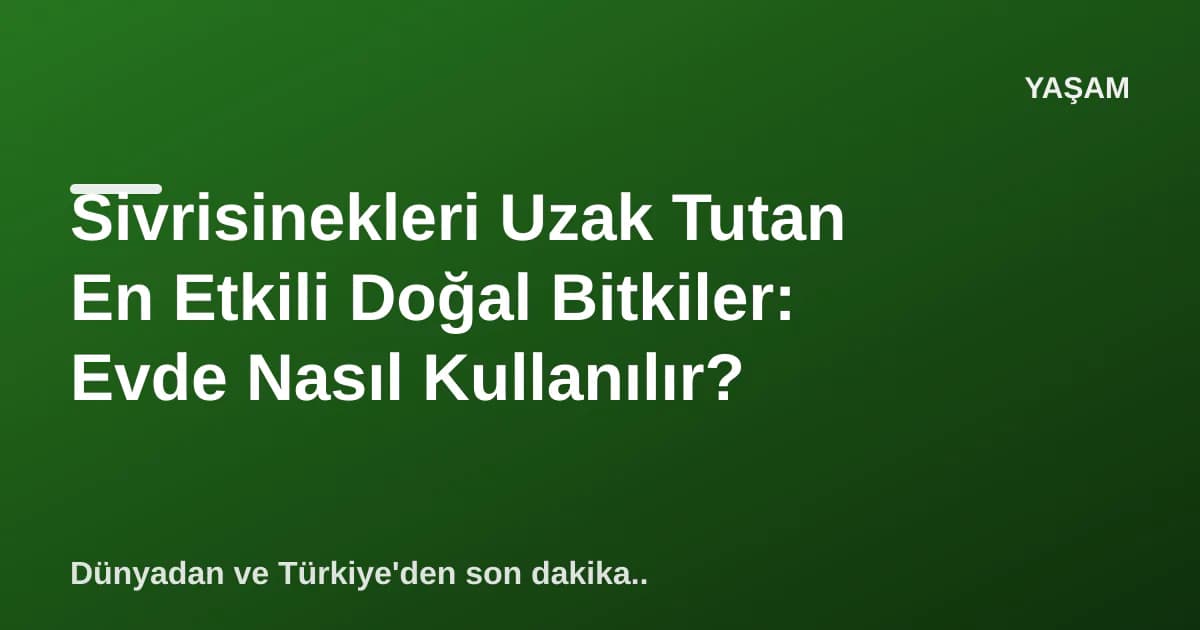 Sivrisinekleri Uzak Tutan En Etkili Doğal Bitkiler: Evde Nasıl Kullanılır?