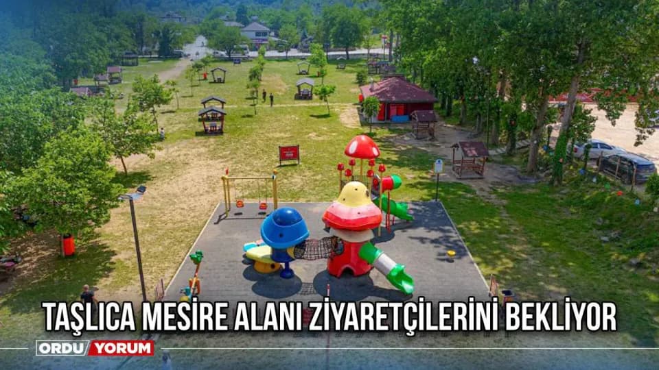 Fatsa'da doğa tutkunlarının yeni adresi: Taşlıca Mesire Alanı açıldı görseli