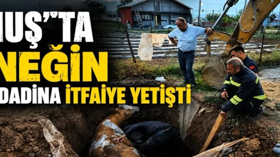 Muş'ta Nefes Kesen Kurtarma: Foseptik Çukuruna Düşen İnek Kurtarıldı görseli