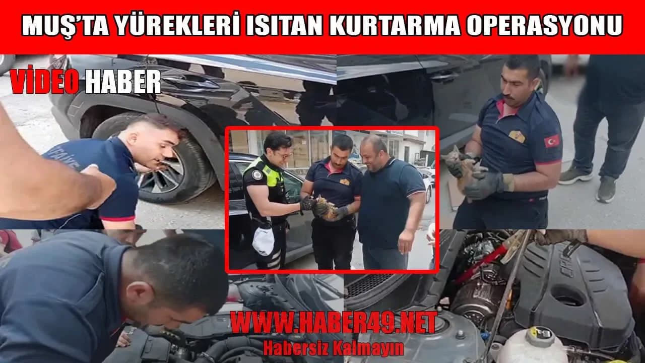 Muş'ta Nefes Kesen Kurtarma: Motor Bölümüne Sıkışan Yavru Kediye İtfaiye Yetişti