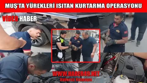 Muş'ta Nefes Kesen Kurtarma: Motor Bölümüne Sıkışan Yavru Kediye İtfaiye Yetişti