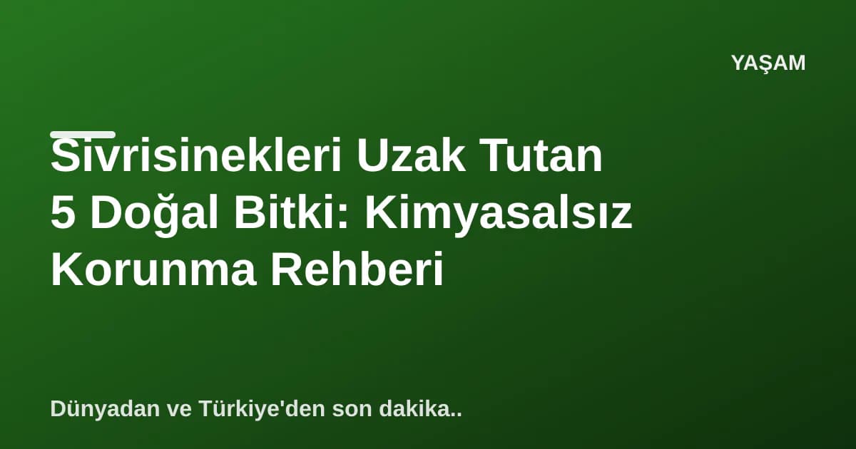 Sivrisinekleri Uzak Tutan 5 Doğal Bitki: Kimyasalsız Korunma Rehberi