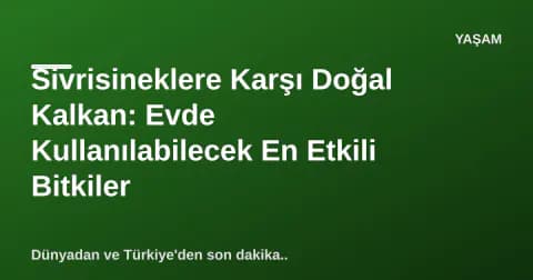 Sivrisineklere Karşı Doğal Kalkan: Evde Kullanılabilecek En Etkili Bitkiler