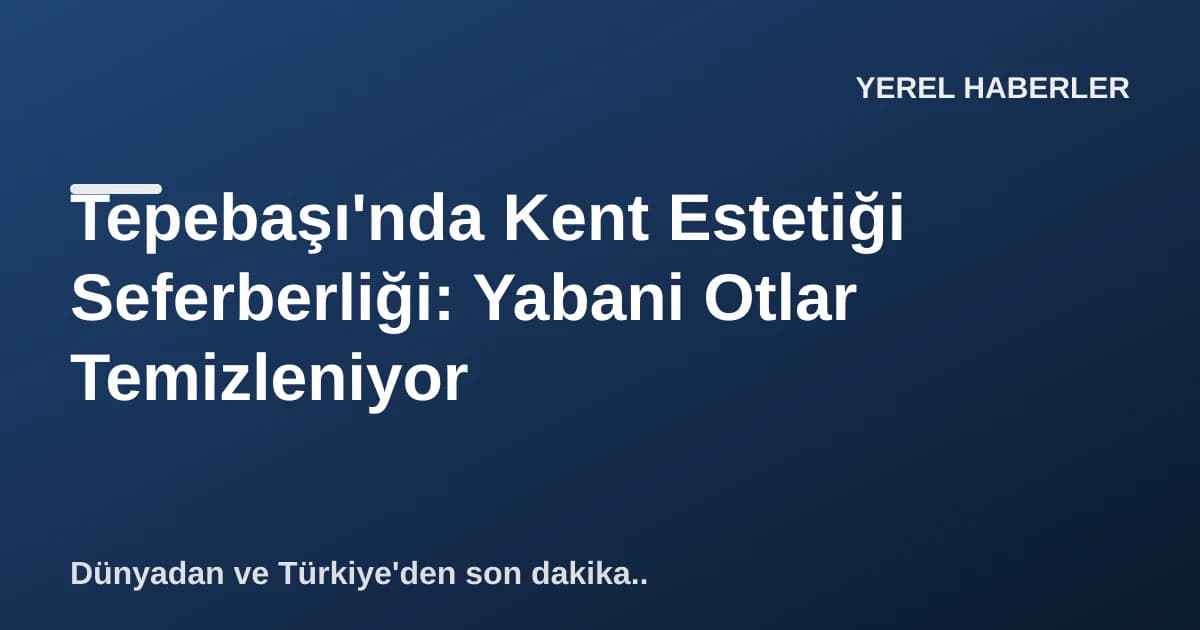 Tepebaşı'nda Kent Estetiği Seferberliği: Yabani Otlar Temizleniyor