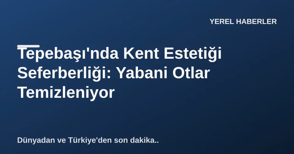 Tepebaşı'nda Kent Estetiği Seferberliği: Yabani Otlar Temizleniyor görseli