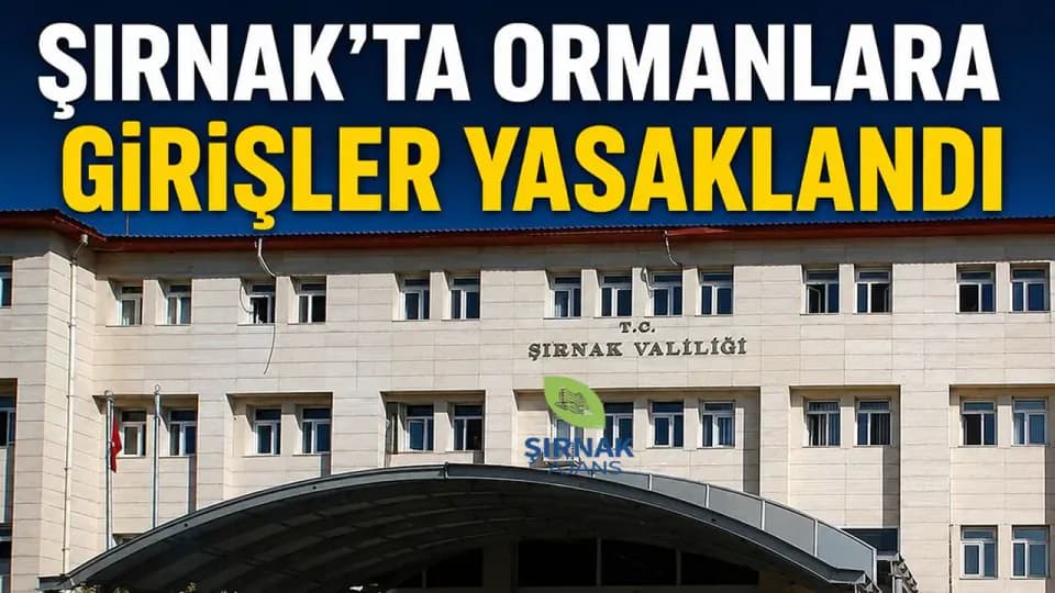 Şırnak'ta Ormanlara Giriş ve Ateş Yakma Yasaklandı: İşte Detaylar görseli