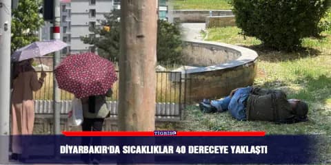 Diyarbakır'da Termometreler 38 Dereceyi Gösterdi: Şehirde Sıcaklık Alarmı
