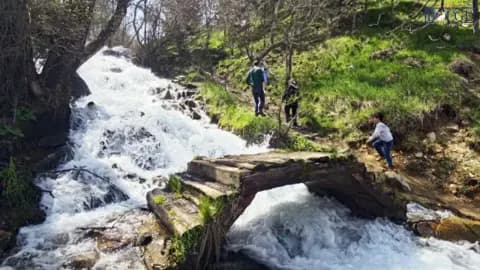 Bitlis Mutki'de Bisiklet Gezisi Facia ile Bitti: 13 Yaşındaki Çocuk Kurtarılamadı Bitlis Mutki'de Bisiklet Gezisi Facia ile Bitti: 13 Yaşındaki Çocuk Kurtarılamadı