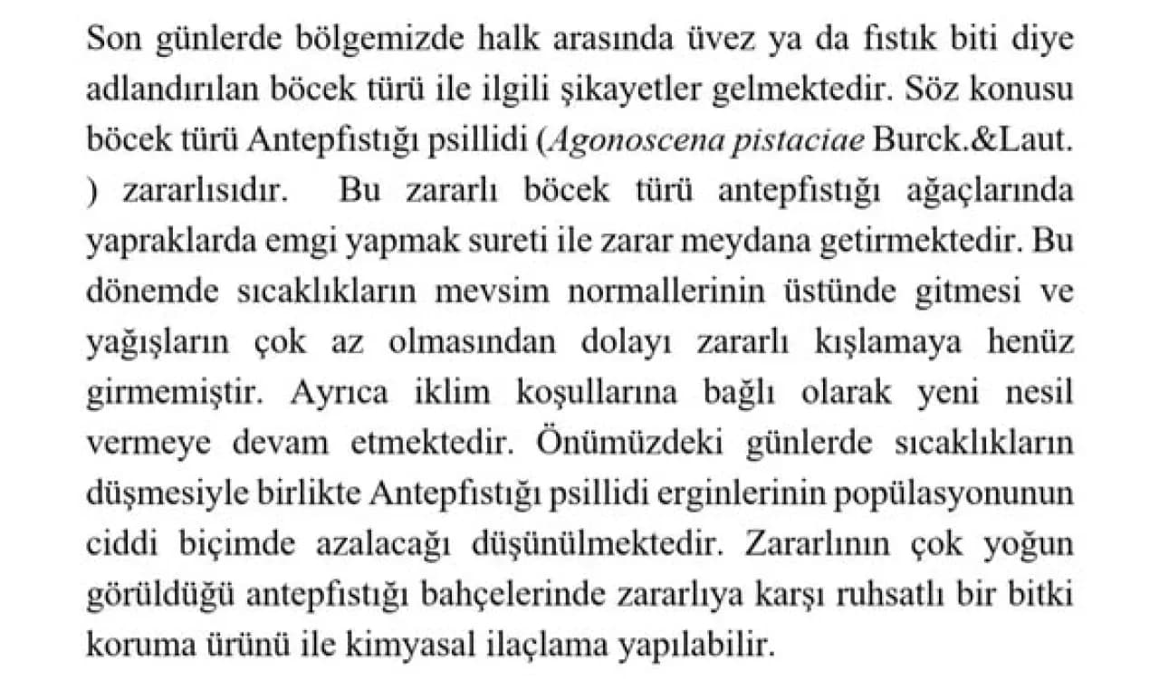 Oğuzeli'nde Görülen Üvez Böceği İçin Resmi Açıklama