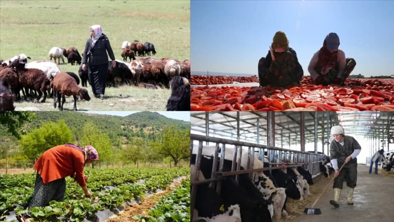 Kırsalda Aile İşletmeleri İçin Yeni Destekler ve Sosyal Projeler Geliyor Kırsalda Aile İşletmeleri İçin Yeni Destekler ve Sosyal Projeler Geliyor