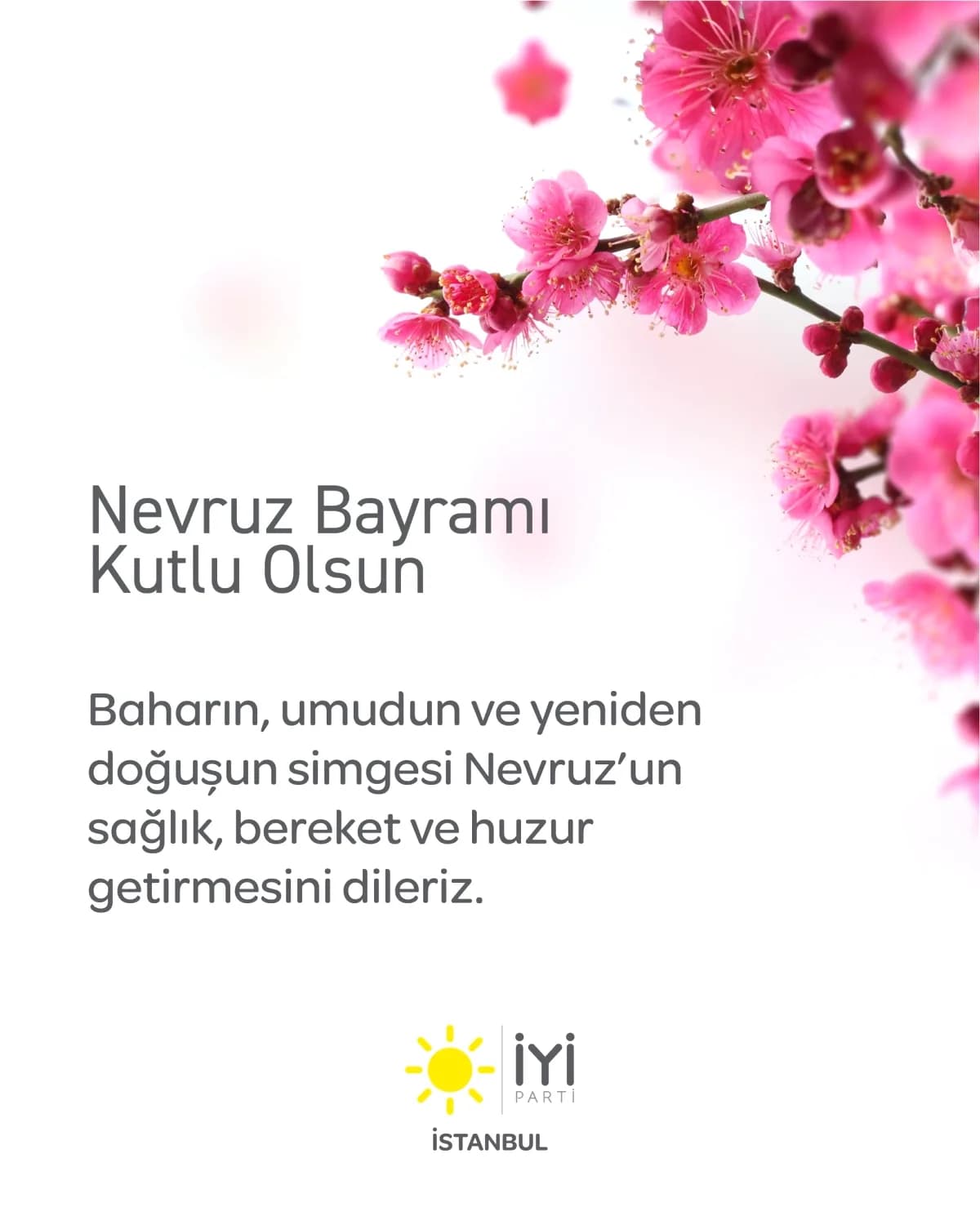 İYİ Parti İstanbul'dan Nevruz Mesajı: "Nevruz Umuttur, Uyanıştır"