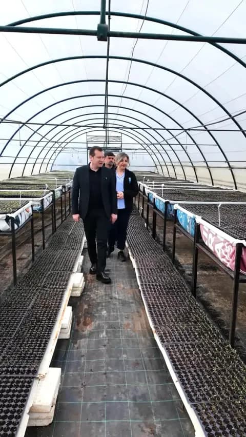 Silivri'de Çiftçilere 180 Bin Fide Ücretsiz Dağıtılacak - Başvuru Nasıl Yapılır?