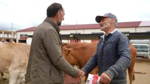 Bayburt'ta Kurbanlık Fiyatları 2026'da Yükseldi: Büyükbaş 350 Bin Liraya Ulaştı