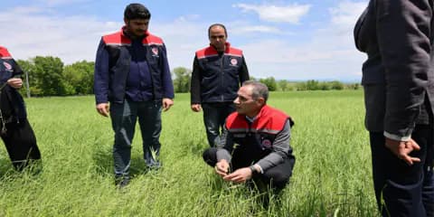 Kars Akyaka'da Dolu Felaketi: Tarım Arazileri Ağır Darbe Aldı