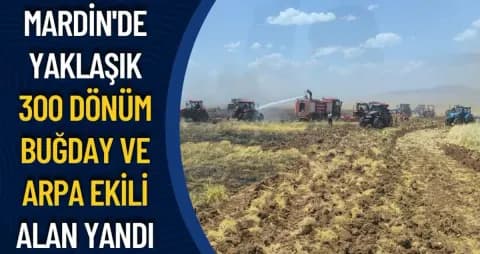 Mardin Artuklu'da Tarım Alanlarında Yangın: 300 Dönüm Ürün Kaybı