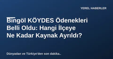 Bingöl KÖYDES Ödenekleri Belli Oldu: Hangi İlçeye Ne Kadar Kaynak Ayrıldı?