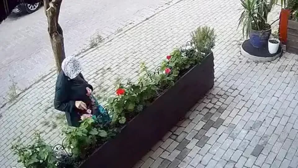 Avcılar'da 3 yıllık emeğe 'şafak operasyonu': Çiçekleri poşetle çaldı görseli