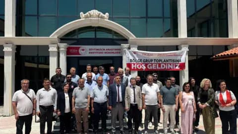 Doğu Akdeniz'de Zeytin Üretimine Yeni Soluk: Verim ve Kalite İçin Kritik Adımlar