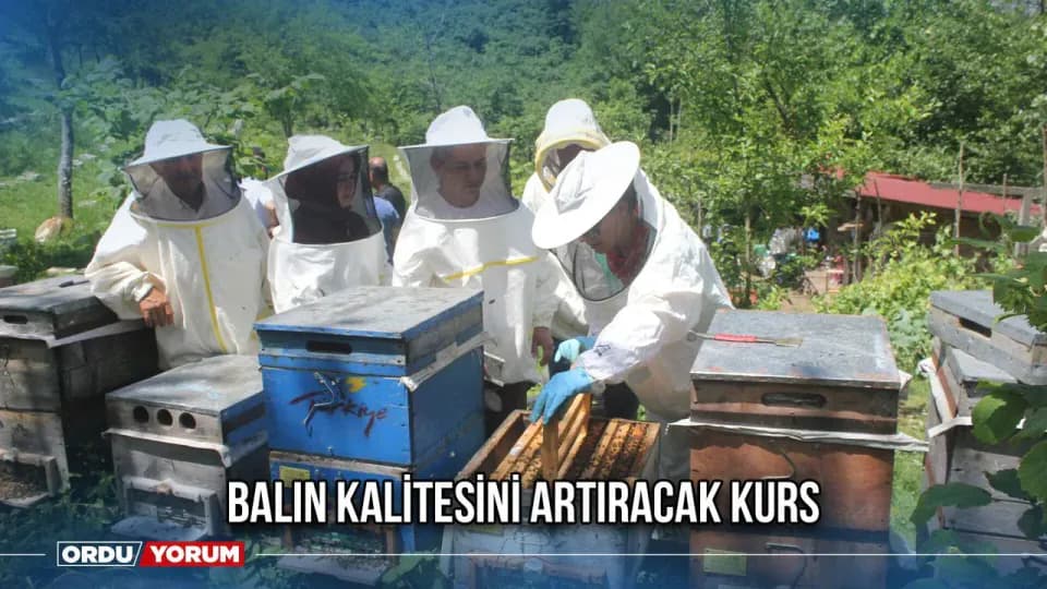 Arıcılıkta Verimi Artıracak Hamle: Ana Arı Üretimi Eğitimi Başladı görseli